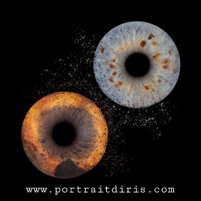 Portrait D'Iris Humain Et Animalier, Photographe à Frontenaud