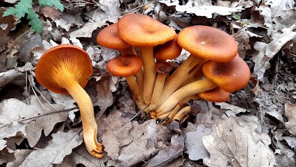 G-REPORTER, Photographe à Peyrolles-en-Provence