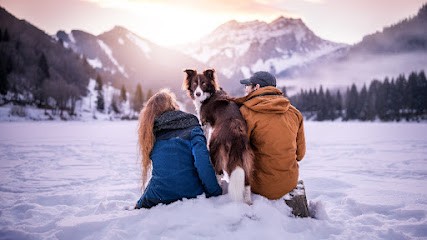 Valerie Tchobanian Photographe Animalier, Chiens, Chats, Chevaux et Nacs, Photographe à Musièges