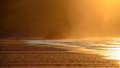 Bertrand Rault photographe, Photographe à Andel