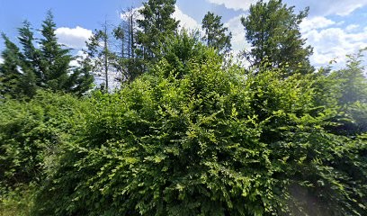 You And Me Studio, Photographe à Quantilly