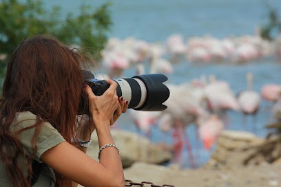 I Shoot Agency, Photographe à Roquebrune-sur-Argens