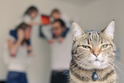 Noemie Contreras Photographie, Photographe à Massy