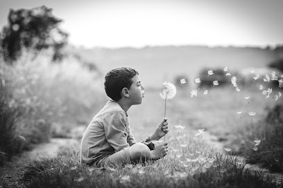photographies julie cavalier, Photographe à Grasse