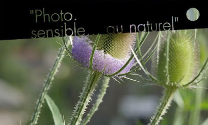 Thierry PETERS_Photo. sensible... au naturel, Photographe à Terranjou