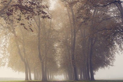 Anglada Mathieu PHOTOGRAPHE / VIDEASTE, Photographe à Libourne