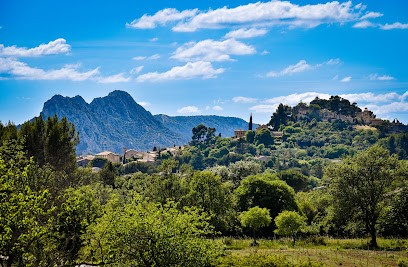 Thierry Teisseire - Photo - Drone - Vidéo, Photographe à Saint-Rémy-de-Provence