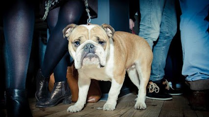 Xavier Topalian Photographe, Photographe à Chessy