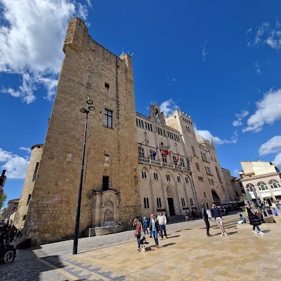 Photographe, Photographe à Narbonne