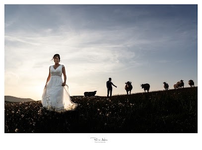 Pierre Alex Photographe, Photographe à Mauléon-Licharre