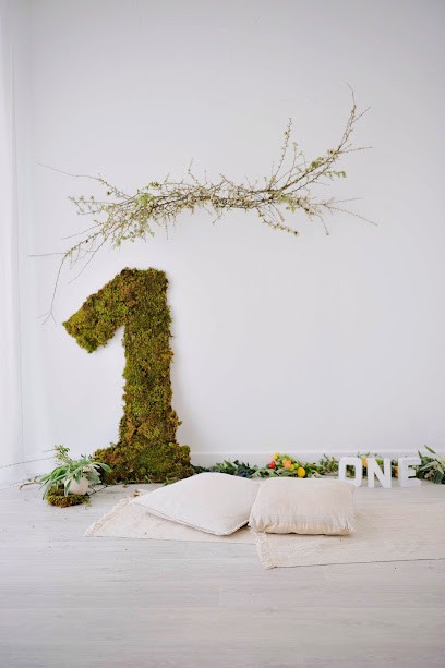 Ana Raducanu Photographe, Photographe à Siaugues-Sainte-Marie