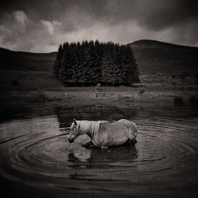 Alain Etchepare, Photographe à Salers