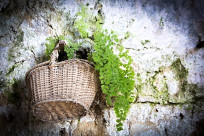 Steph-Photo, Photographe à Marseille 06