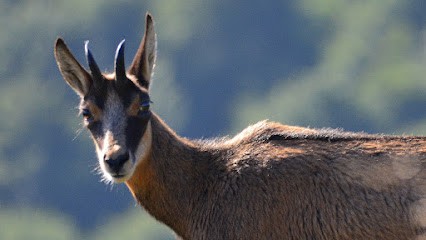 Gérardmer Photographe Cours De Photo, Développement de Photos à Liézey
