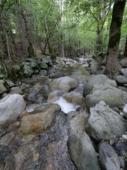 Michel VILA - IMAG-DRONE-France, Photographe à Saint-Pardoux-l'Ortigier