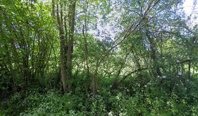 Sarah LD photographies, Photographe à Mézidon Vallée d'Auge