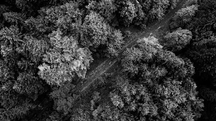 Fred BERTHET Siège Social, Photographe à Renage