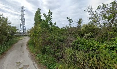 Bonincontro Jean-Paul, Photographe à Narbonne