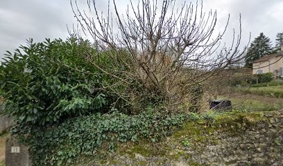 Photographe Poitiers Eric PILLET, Photographe à Ligugé