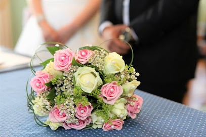 Just'photo, Photographe à Nieppe