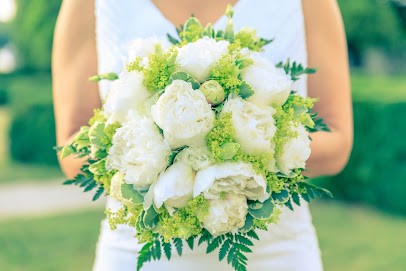 Yomeno Photos, Développement de Photos à Ciry-Salsogne