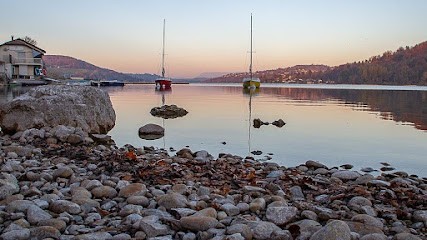 Ouistiti - Studio Graphique - Yan Dubost, Photographe à Villages du Lac de Paladru