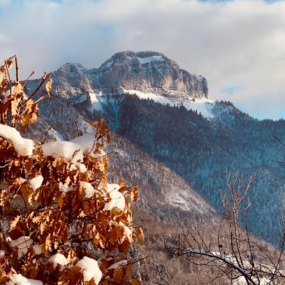 Le Studioz Aviernoz, Photographe à Aviernoz