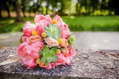 Estelle Photo, Photographe à Saint-Amand-Montrond