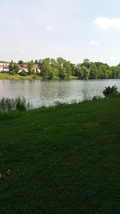 Photo Alain Tourscher, Développement de Photos à Creutzwald
