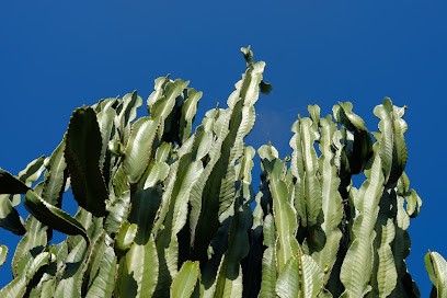 Jonathan Belin / Photographe - Vidéaste, Photographe à Marseille 06