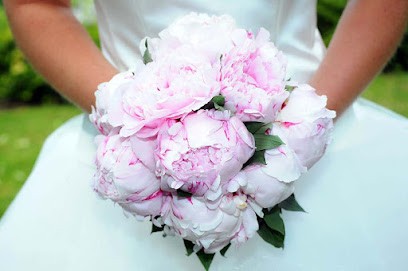 Studio photo Lumax - Draskovic Ratko, Photographe à Doullens