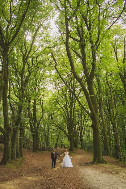 Bhn Photographie, Photographe à Moustoir-Ac