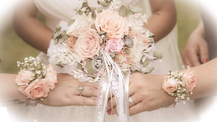 Les Filtres Passion D’Anne, Photographe à Honskirch