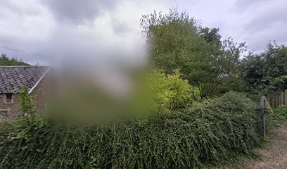 | Vibrer La Vie, Photographe à La Baleine