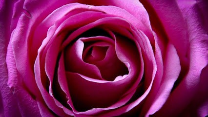 Bocquet Pauline, Photographe à Rogna