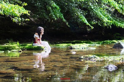 Studio Dauphiné, Photographe à Dambach-la-Ville