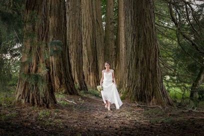 PHOTOGRAPHE - Yvan Archenault, Photographe à Charny Orée de Puisaye