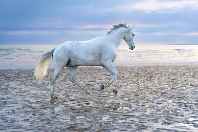 Marion Karl Photographie, Photographe à La Méaugon