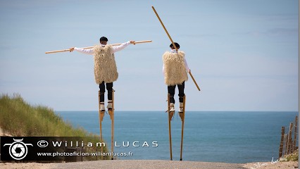 Photo Aficion, Photographe à Magescq