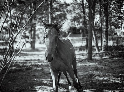 Jade Grima Photographe, Photographe à Saint-Raphaël