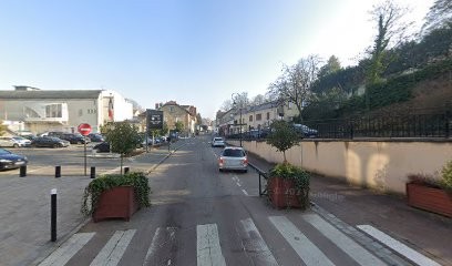 Alisson et Franck - Les Oiseaux Voyageurs, Photographe à Conflans-Sainte-Honorine