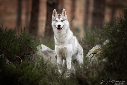 Isa Photographie, Photographe à Guiscard
