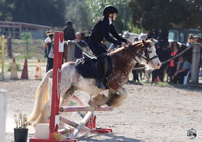 Studio Photos Grazi Ritratti, Photographe à Corte