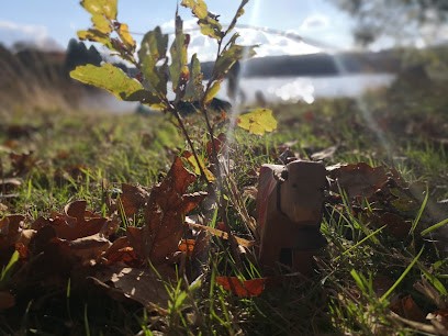 Yann Lopin, Photographe à Concoret