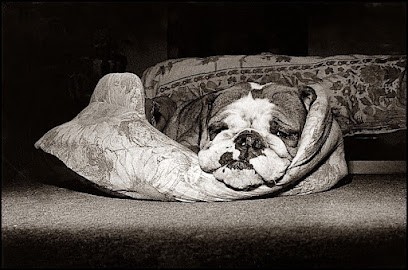Jacques Gavard, Photographe à Paris 07