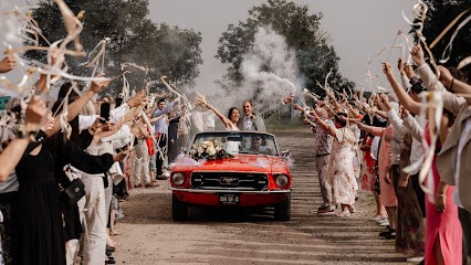 Fred Schadt Studio, Photographe à Saint-Galmier