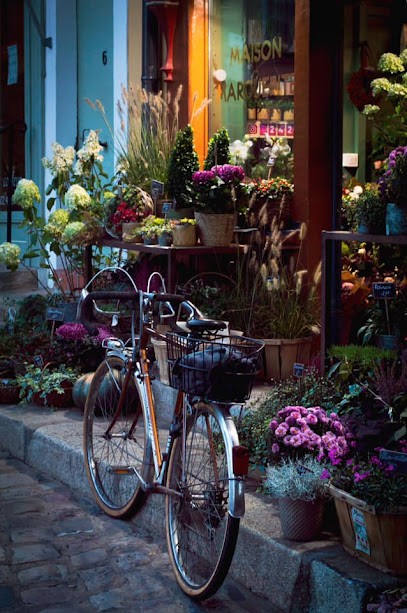 Yannig Photo, Développement de Photos au Mans