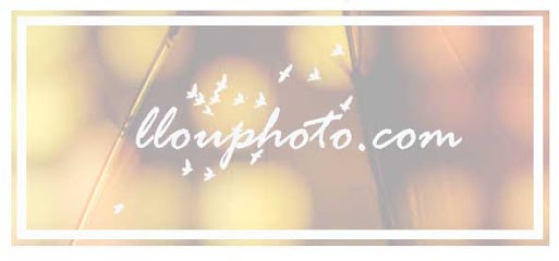 Llouphoto, Photographe au Bourget