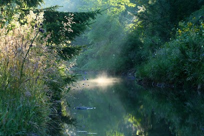 Laurence Barruel, Photographe à Brives-Charensac