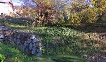 Salino Laurent, Photographe à Oz